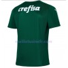 Maillot de Foot Palmeiras Domicile 2021-22